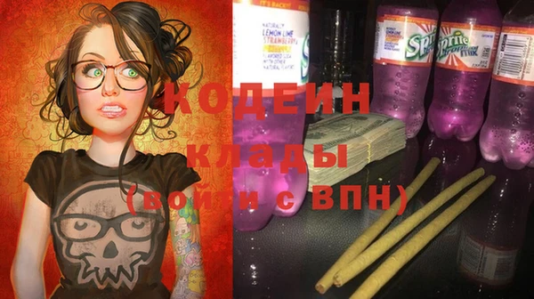 соль ск Зеленодольск