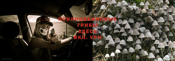 бошки Заводоуковск